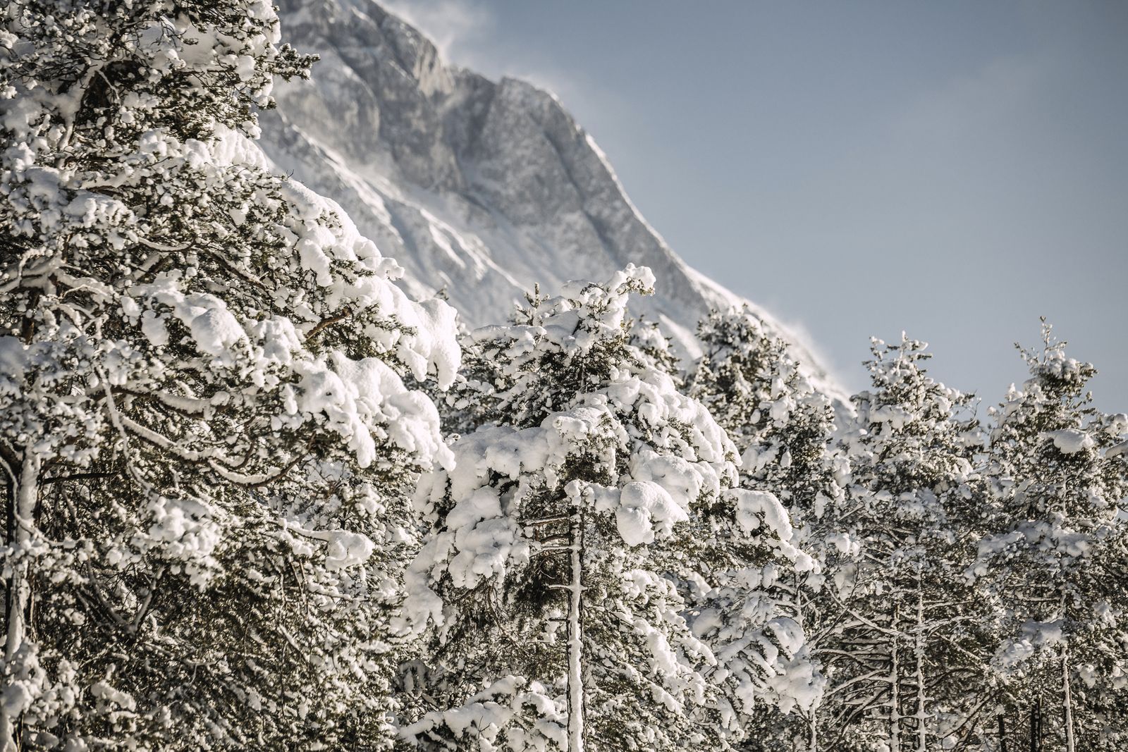 Ice Days mit Barbara image 4 - Alpenresort Schwarz
