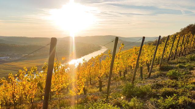 Fit-& Aktiv - Präventionswoche 5 Nächte