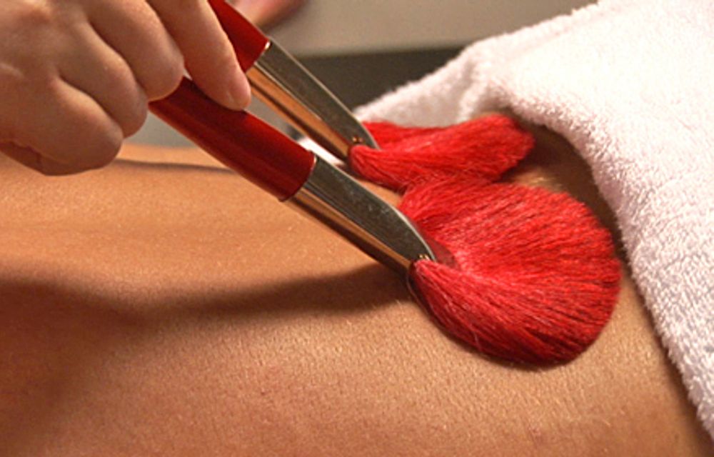 Sha Zhi – Fächerpinselmassage Body