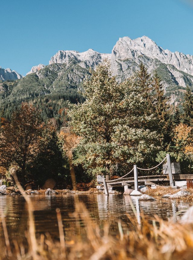 autumnTIME at the Forsthofgut