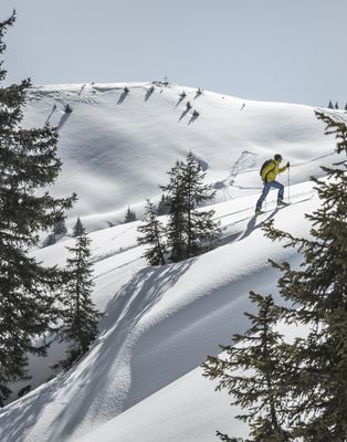 Angebot: Skitouren - Forsthofgut