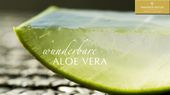 Aloe Vera Gesichtsbehandlung - Pharmos Natur