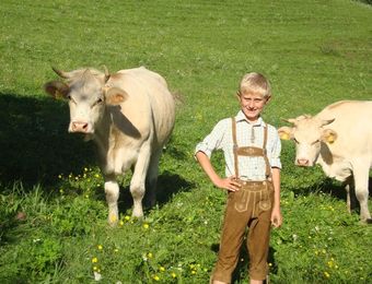 Biohotel Arche Urlaub in Kärnten Kind mit Kühen