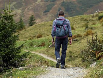 Top Angebot: Waldwoche - Biohotel Pausnhof