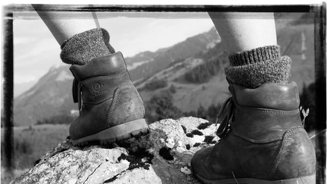 Fitness check 14 days