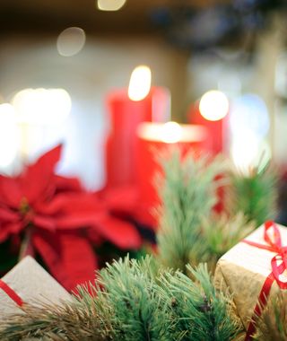 Angebot: Weihnachtsfestwoche - Biohotel Schweitzer
