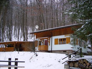 Vogesen-Chalet - Elsass - Frankreich