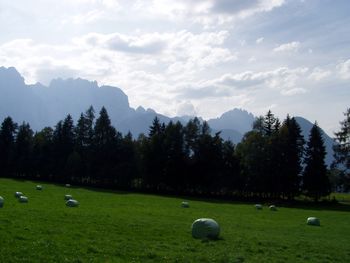 Moaralmhütte - Tirol - Österreich