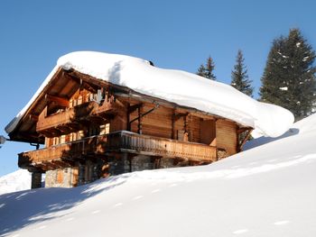 Brandstatt Alm - Tirol - Österreich