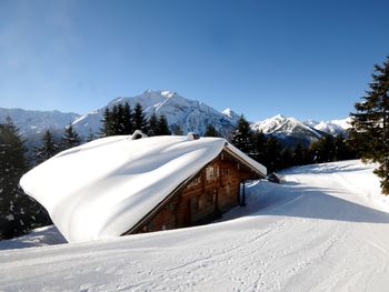 Brandstatt Alm - Tirol - Österreich