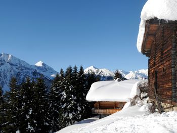 Brandstatt Alm - Tirol - Österreich