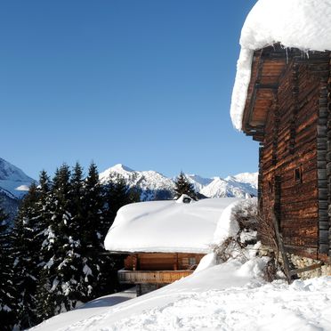 Winter, Brandstatt Alm, Finkenberg, Tirol, Tirol, Österreich