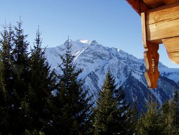 Brandstatt Alm - Tirol - Österreich