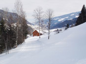Ahornhütte - Styria  - Austria