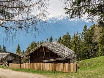 Reh's Wiesen Hütte - Trentino-Südtirol - Italien