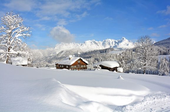 Winter, Göglgut, St. Martin am Tennengebirge, Salzburg, Salzburg, Austria