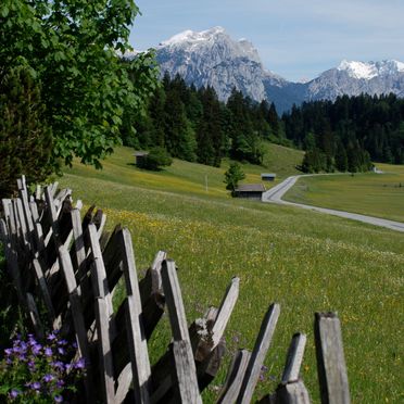 Surroundings, Oberholzerhütte, Unken, Salzburg, Salzburg, Austria