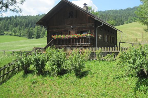 Summer, Dorferhütte, Oberwölz, Steiermark, Styria , Austria