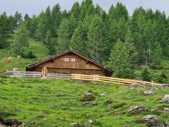 Fröschlhütte - Kärnten - Österreich