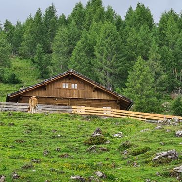 Sommer, Fröschlhütte, Oberdrauburg, Kärnten, Kärnten, Österreich