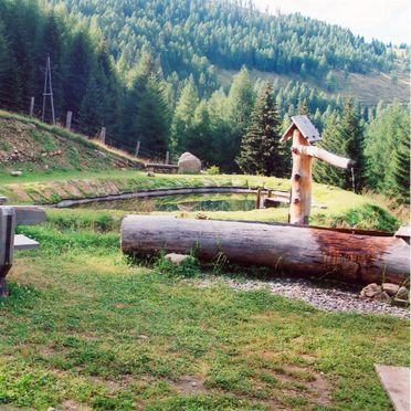 Teich, Thomalahütte, Ramingstein, Salzburg, Salzburg, Österreich