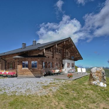 Sommer, Latschenalm, Jochberg, Tirol, Tirol, Österreich