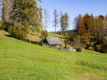 Kuschelhütte - Oberösterreich - Österreich