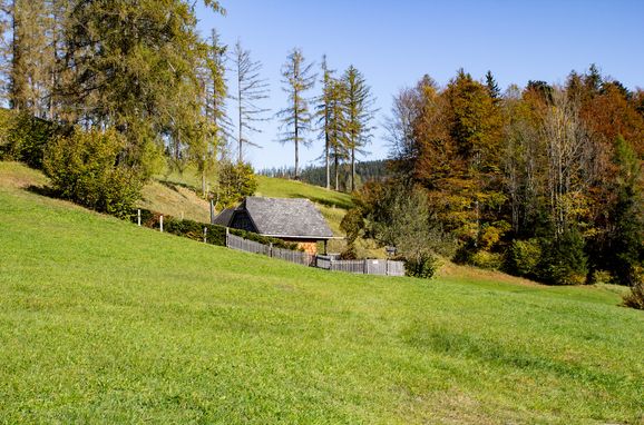 Autumn, Kuschelhütte, Neukirchen, Oberösterreich, Upper Austria, Austria