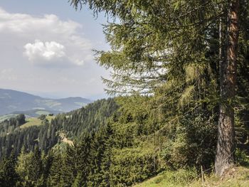 Staller Brendl - Steiermark - Österreich