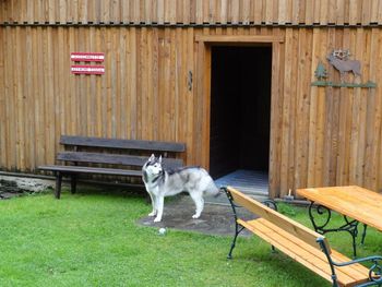 Pirschhütte - Steiermark - Österreich