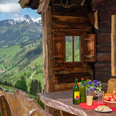 Summer, Hungarhub Hütte, Großarl, Salzburg, Salzburg, Austria