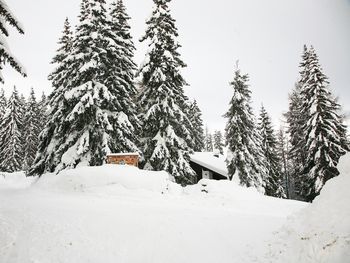 Alpine-Lodges Petra - Carinthia  - Austria