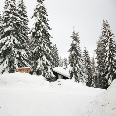, Alpine-Lodges Petra, Arriach, Kärnten, Carinthia , Austria