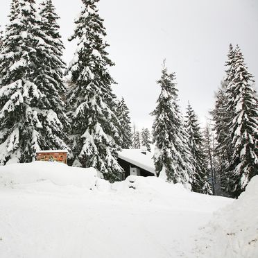 Winter, Alpine-Lodges Petra, Arriach, Kärnten, Kärnten, Österreich