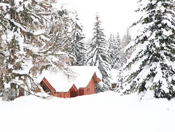 Alpine-Lodges Gertraud - Carinthia  - Austria