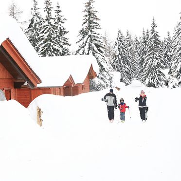 , Alpine-Lodges Gertraud, Arriach, Kärnten, Carinthia , Austria