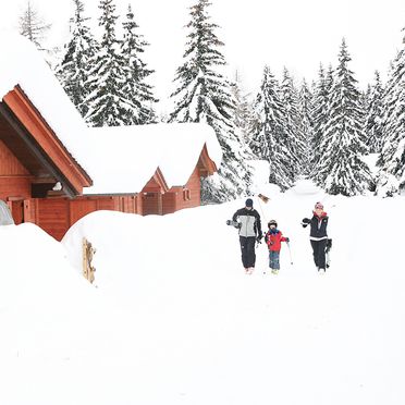 Rueckansicht, Alpine-Lodges Gertraud, Arriach, Kärnten, Kärnten, Österreich