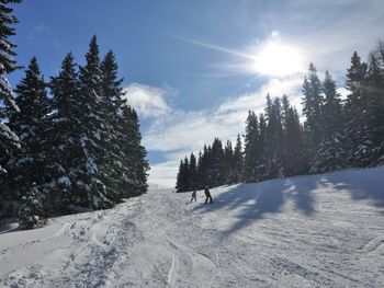 Almliebe-Feriendorf Koralpe - Carinthia  - Austria