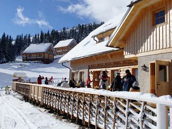 Moselebauer Alm - Carinthia  - Austria