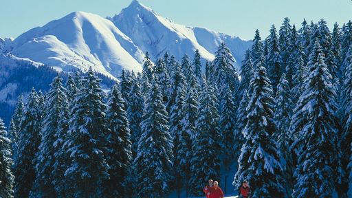 Das Ski-Paradies für Gross und Klein