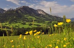 Biohotel Mattlihüs: Urlaub in Oberjoch - Biohotel Mattlihüs, Oberjoch, Allgäu, Bayern, Deutschland