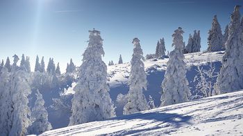 1 Übernachtung mit 3/4 Pension LM 15% Preisvorteil