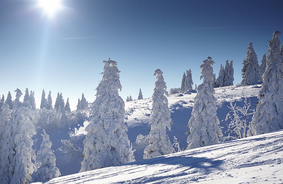 Midweek 5=4 Frühbucher