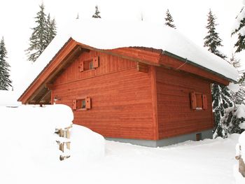 Alpine-Lodges Theresia - Kärnten - Österreich