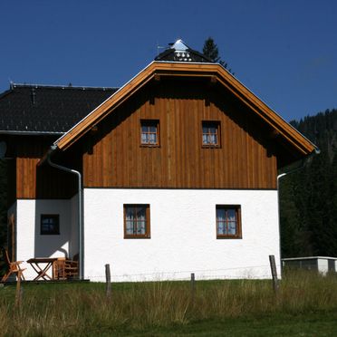 Sommer, Hüttendorf Flattnitz - Typ C, Glödnitz, Kärnten, Kärnten, Österreich