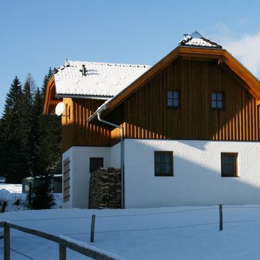 Seitenansicht1, Hüttendorf Flattnitz - Typ C, Glödnitz, Kärnten, Kärnten, Österreich