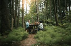 BioLandgut Tiefleiten , Breitenberg, Bayerischer Wald, Bavaria, Germany (14/36)