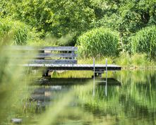 Biohotel Tiefleiten: Steg zum Naturschwimmteich - BioLandgut Tiefleiten , Breitenberg, Bayerischer Wald, Bayern, Deutschland