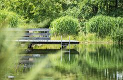 Biohotel Tiefleiten: Steg zum Naturschwimmteich - BioLandgut Tiefleiten , Breitenberg, Bayerischer Wald, Bayern, Deutschland