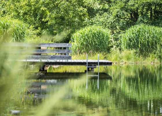 Wellness - BioLandgut Tiefleiten 